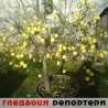 Гледаоци репортери (26.3.2010)