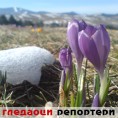 Гледаоци репортери (29.3.2010)