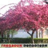 Гледаоци репортери (10.4.2010)