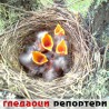 Гледаоци репортери (21.4.2010)