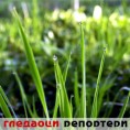 Гледаоци репортери (23.4.2010)