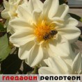 Гледаоци репортери (27.4.2010)