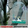 Гледаоци репортери (1.5.2010)