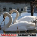 Гледаоци репортери (12.5.2010)