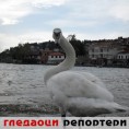Гледаоци репортери (24.5.2010)