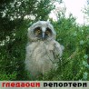 Гледаоци репортери (26.5.2010)