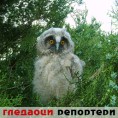 Гледаоци репортери (26.5.2010)