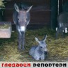 Гледаоци репортери (29.5.2010)