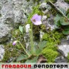 Гледаоци репортери (30.5.2010)
