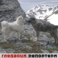 Гледаоци репортери (5.6.2010)