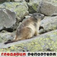 Гледаоци репортери (6.6.2010)