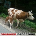 Гледаоци репортери (12.6.2010)