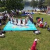 Жикина шареница