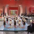 Жикина шареница