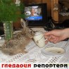 Гледаоци репортери (26.6.2010)