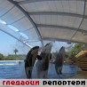Гледаоци репортери (29.6.2010)