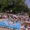 Жикина шареница