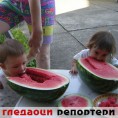 Гледаоци репортери (31.8.2010) 