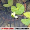 Гледаоци репортери (2.9.2010) 
