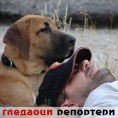 Гледаоци репортери (12.9.2010)