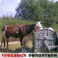 Гледаоци репортери (15.9.2010)