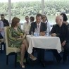 Жикина шареница