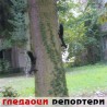 Гледаоци репортери (15.10.2010)