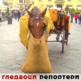 Гледаоци репортери (1.11.2010)
