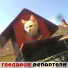 Гледаоци репортери (1.12.2010)