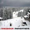 Гледаоци репортери (04.12.2010)