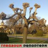 Гледаоци репортери (19.1.2011)