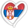 Домаћи избор 26. фебруара 