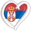 Домаћи избор 26. фебруара 