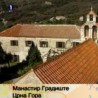 Жикина шареницa