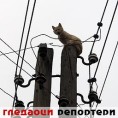 Гледаоци репортери (19.2.2011)