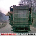 Гледаоци репортери (22.2.2011)