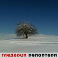 Гледаоци репортери (8.3.2011)