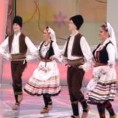 Жикина шареницa