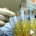 Унапређено испитивање стем ћелија