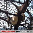 Гледаоци репортери (19.3.2011)