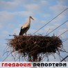 Гледаоци репортери (2.4.2011)