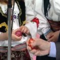Жикина шареница