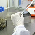 Репрограмиране ћелије на удару имуног система