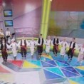 Жикина шареница