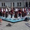 Жикина шареница