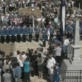 Жикина шареница