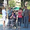 Жикина шареница