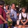 Жикина шареница