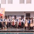 Жикина шареница