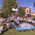 Жикина шареница